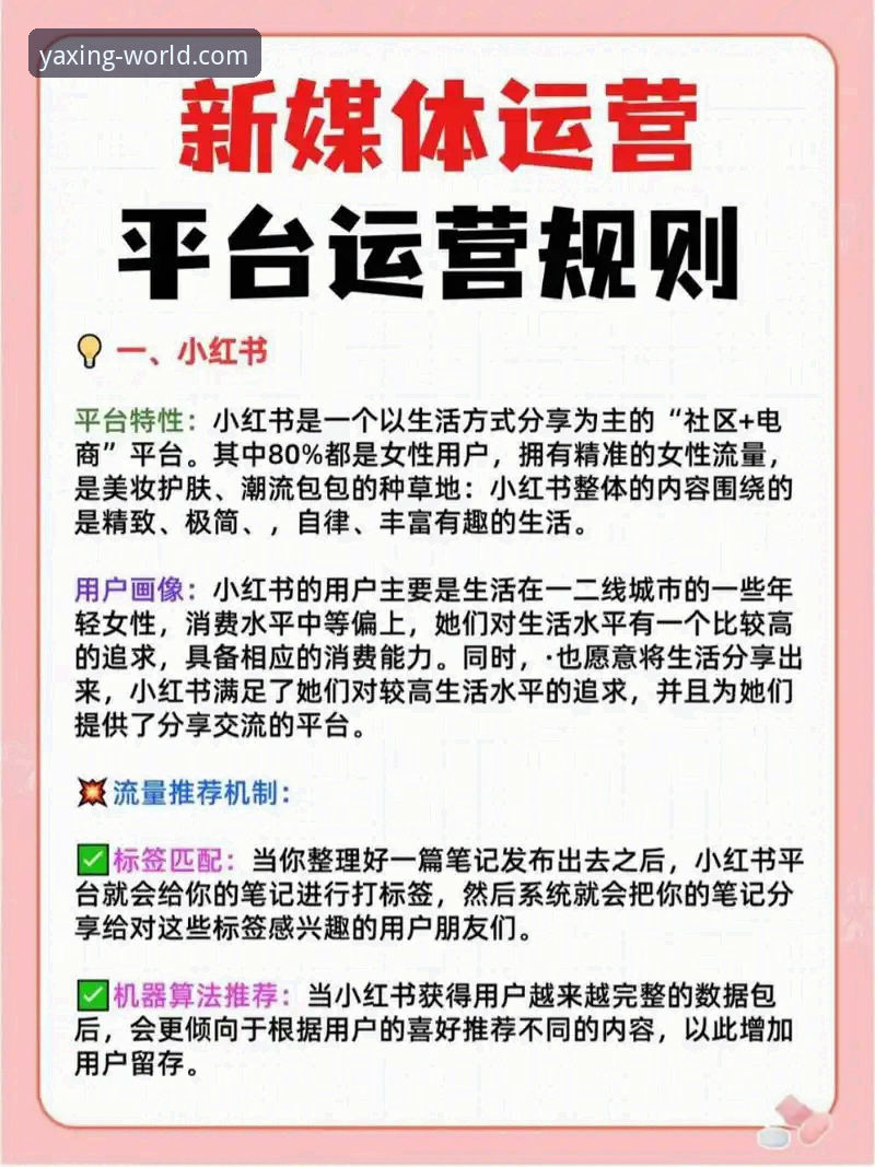 亚星娱乐平台实用指南：从入门到高阶的必备知识